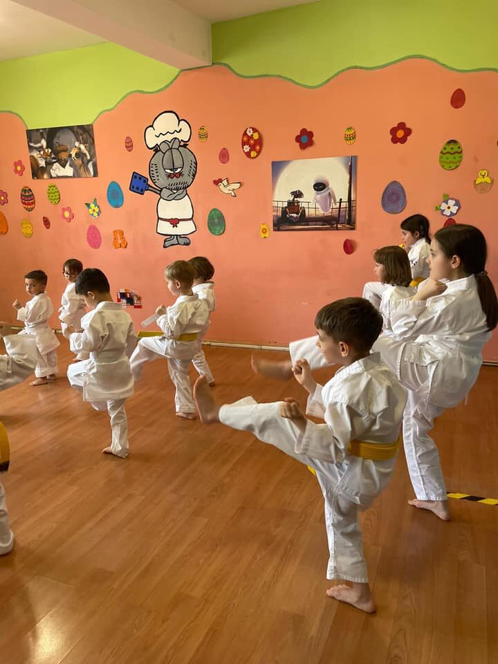 Curs Karate
