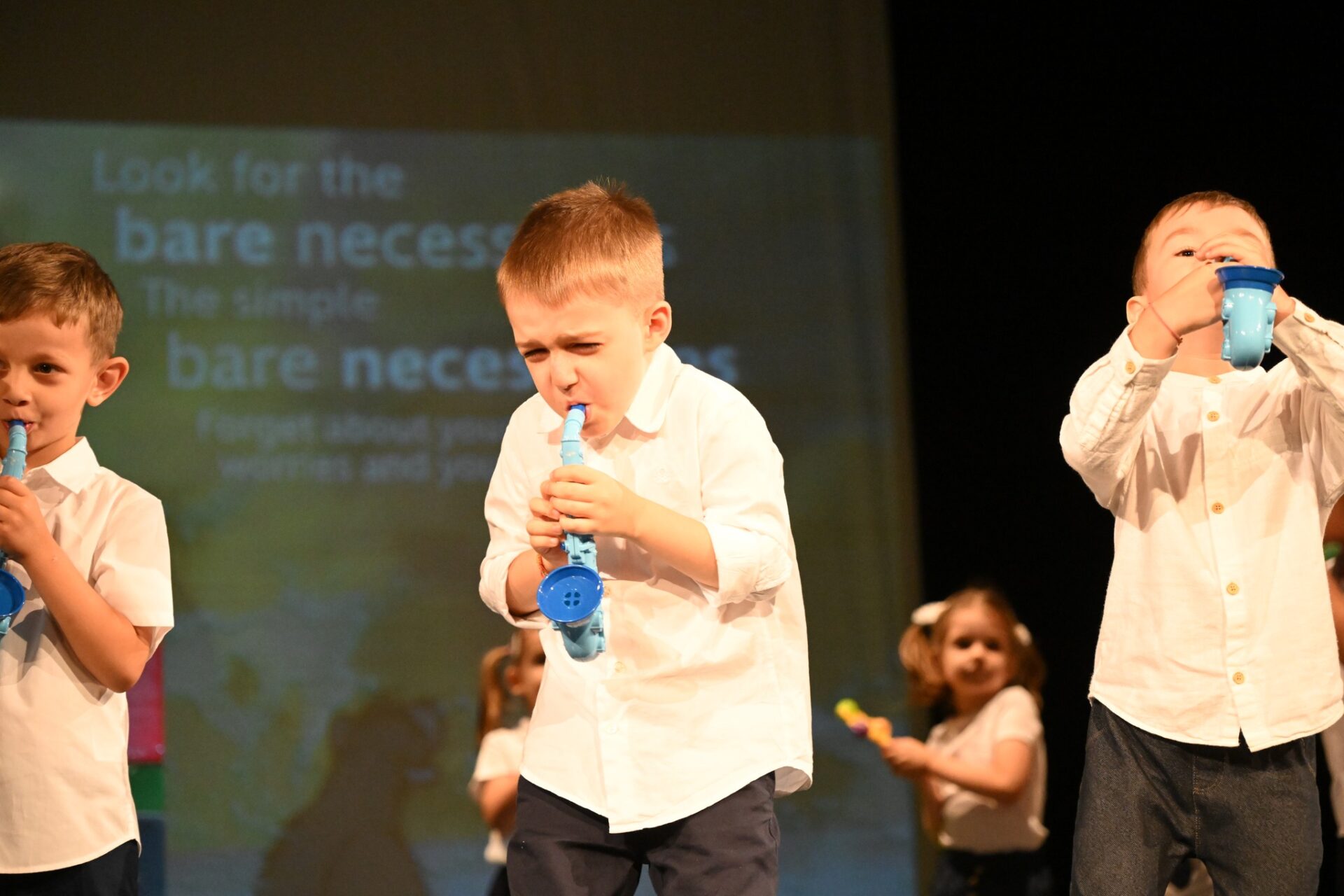 Spectacol Micul Prinț13